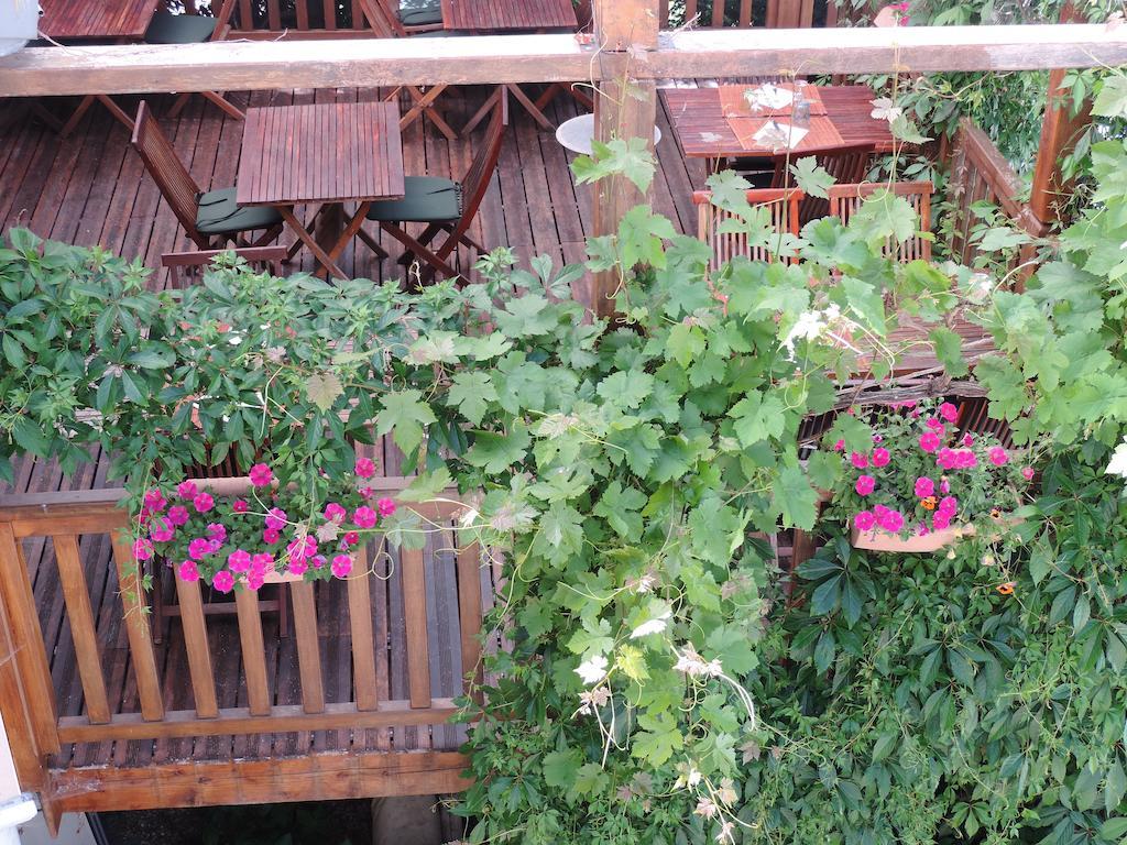 Auberge Saint Fleuret Estaing  Zewnętrze zdjęcie